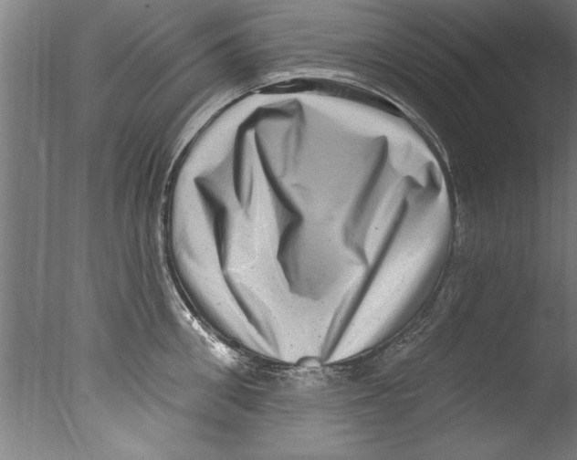 X0000076100906200610202132