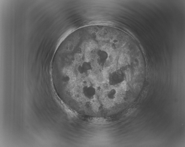 X0000076100907200610202132