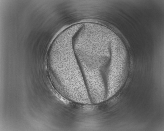 X0000076100908200610202132