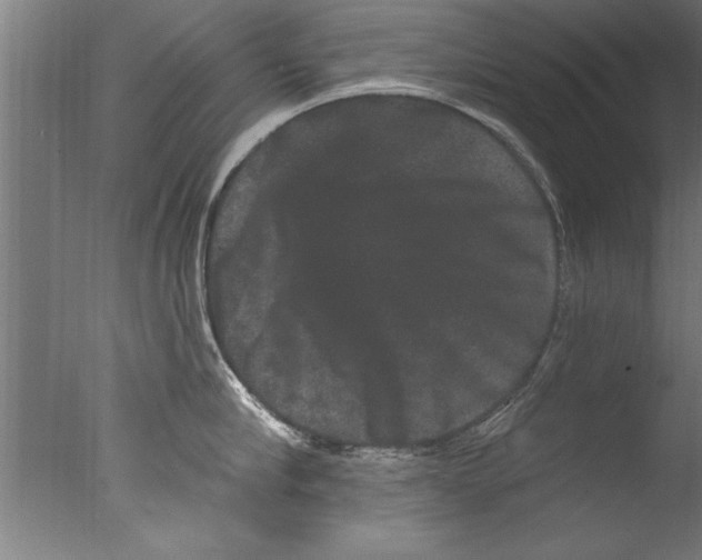 X0000076100910200610202132