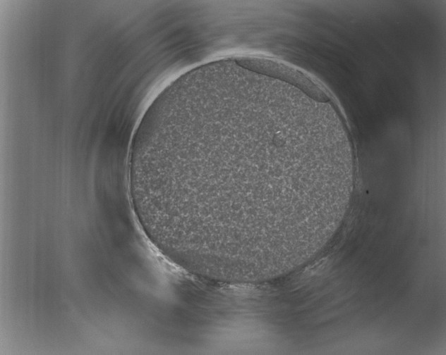 X0000076100911200610202132