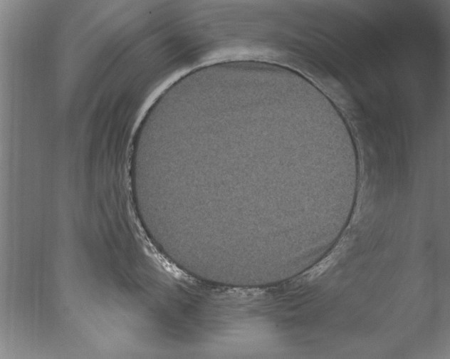 X0000076100912200610202132