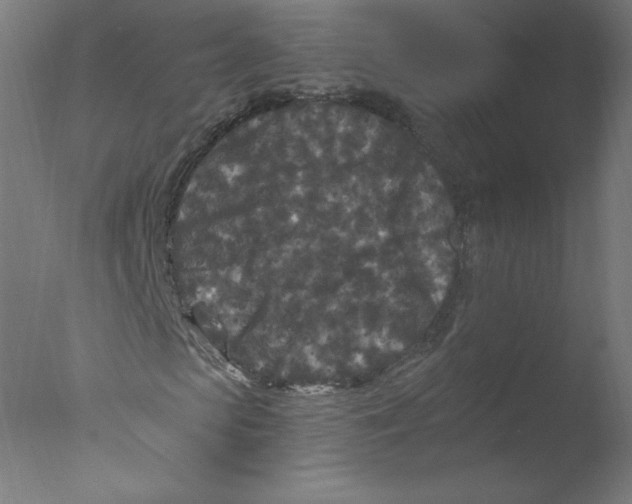 X0000076100913200610202131