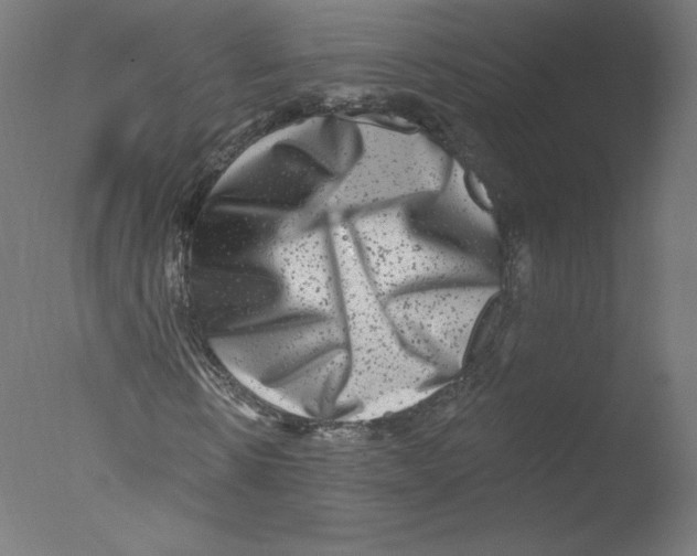 X0000076100914200610202131