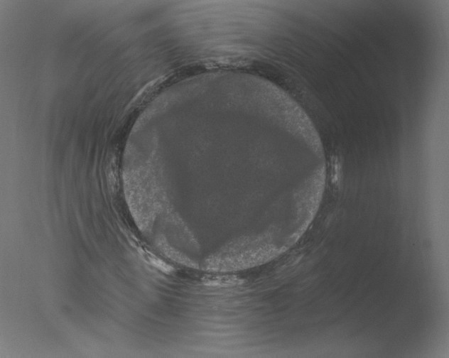 X0000076100915200610202132