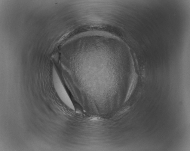 X0000076100916200610202132