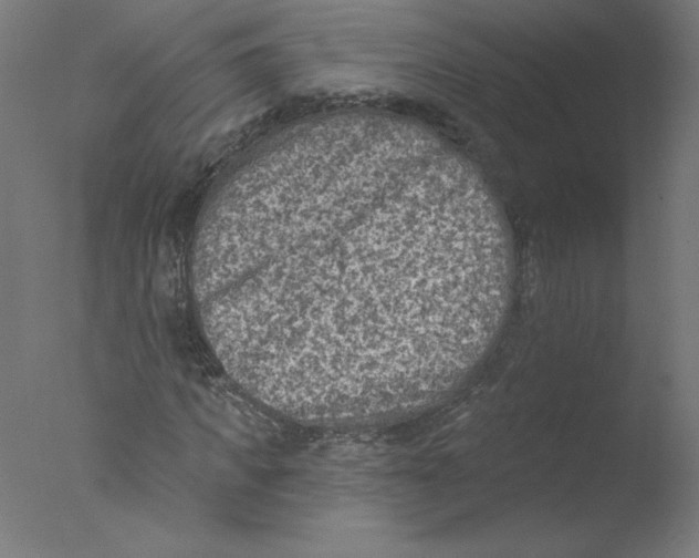 X0000076100917200610202132