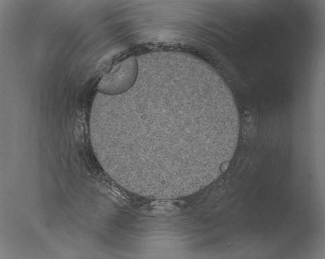 X0000076100918200610202132