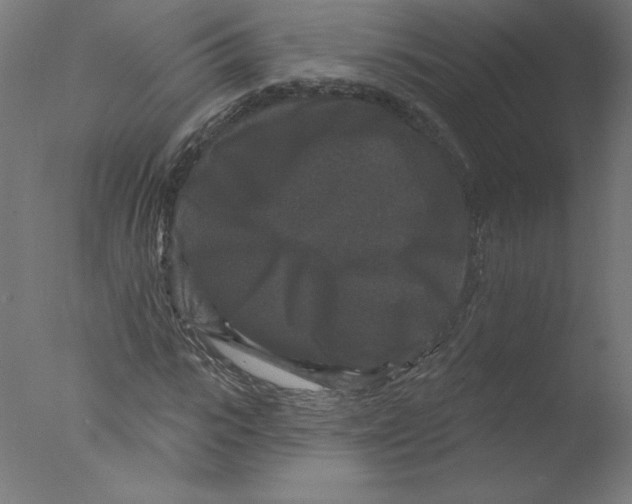 X0000076100919200610202132