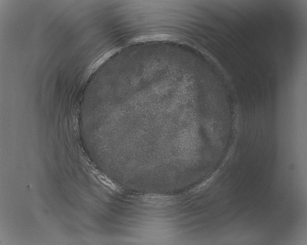 X0000076100921200610202132