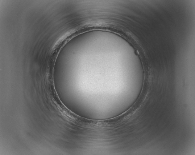 X0000076100922200610202132