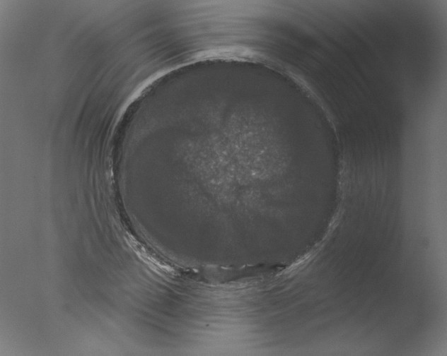 X0000076100923200610202132