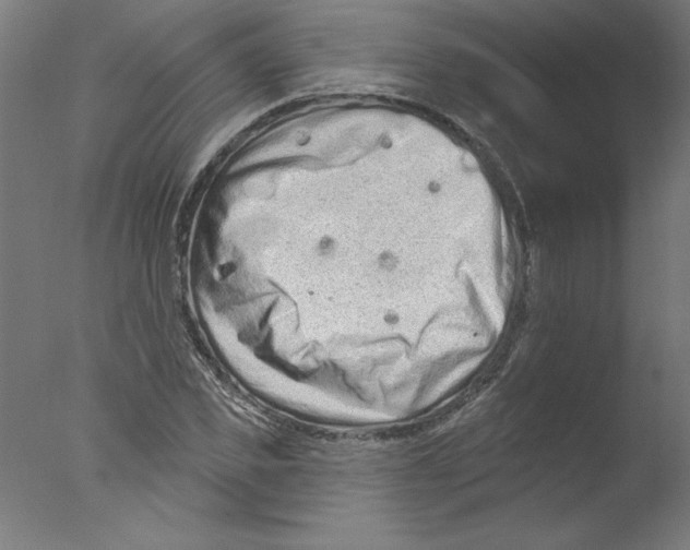 X0000076100925200610202132