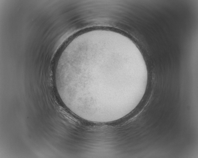 X0000076100926200610202132