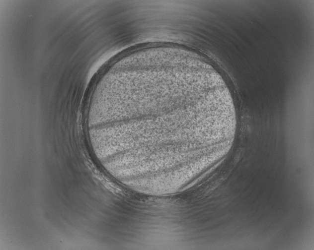 X0000076100928200610202132