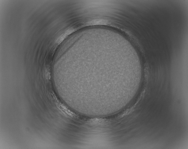 X0000076100929200610202132