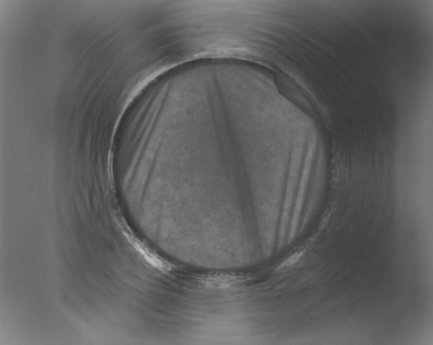 X0000076100932200610202132