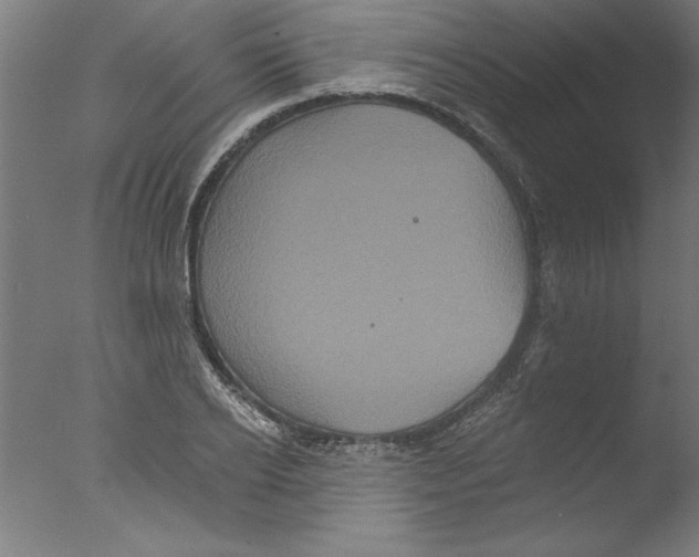 X0000076100934200610202132