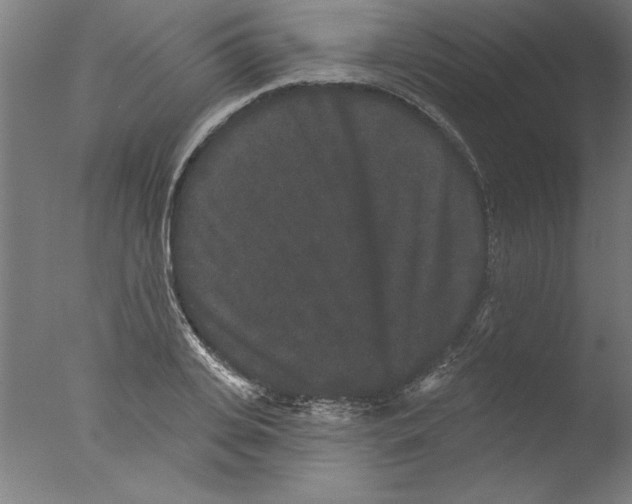 X0000076100935200610202132