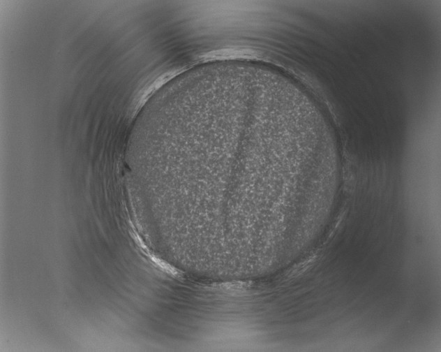 X0000076100937200610202132