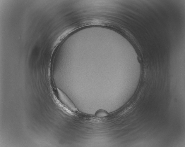 X0000076100938200610202132