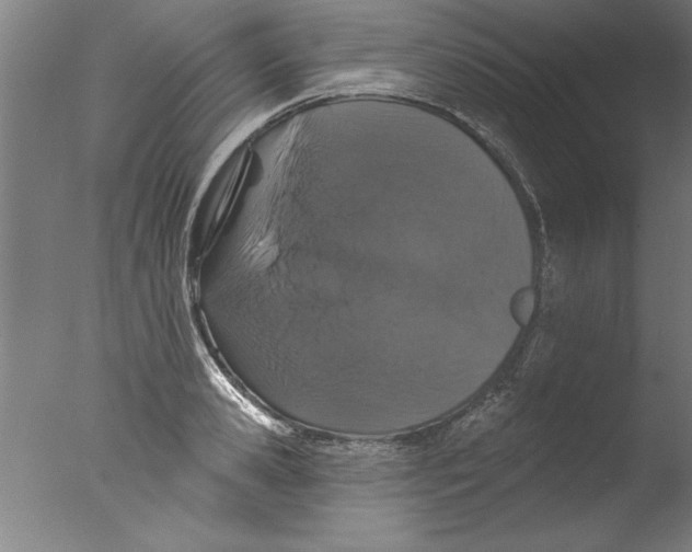 X0000076100941200610202132