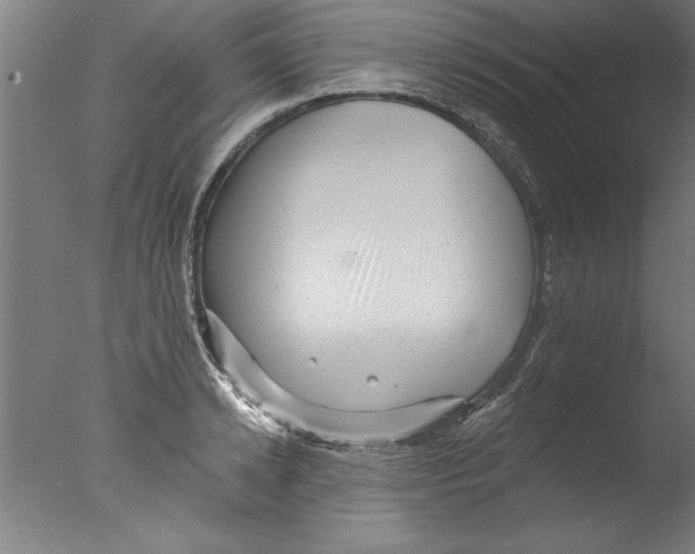 X0000076100942200610202132