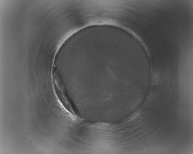 X0000076100943200610202132