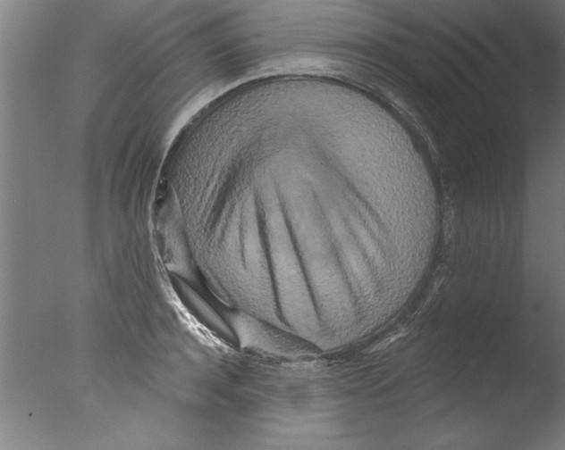 X0000076100944200610202132