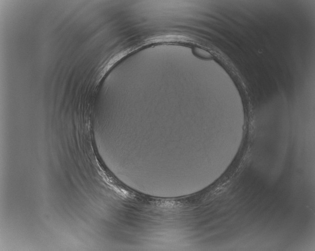 X0000076100945200610202132