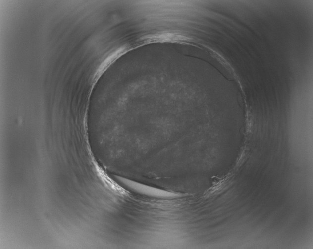 X0000076100946200610202132