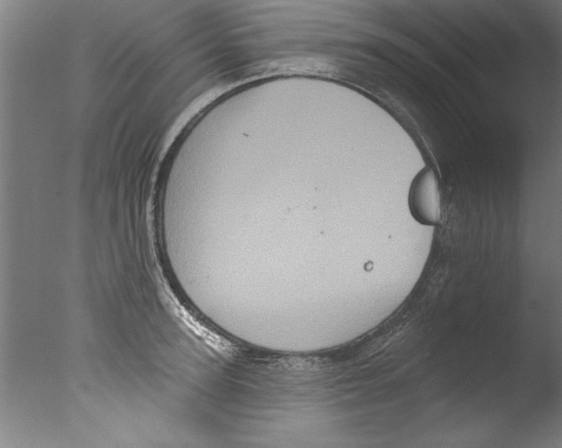 X0000076100947200610202132