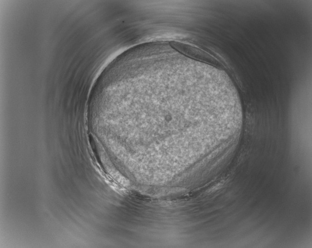 X0000076100948200610202132