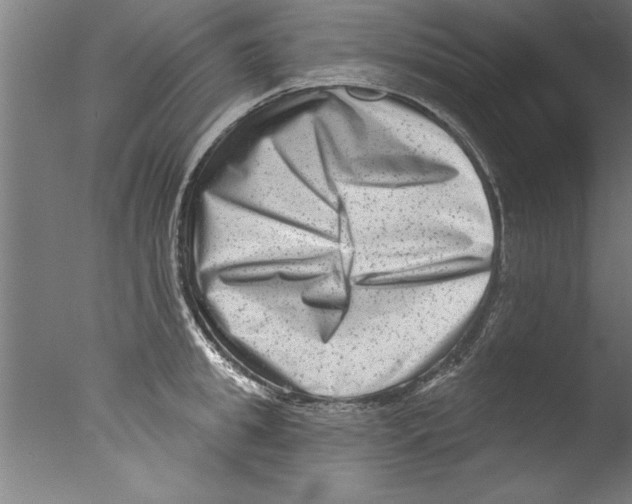 X0000076100949200610202132