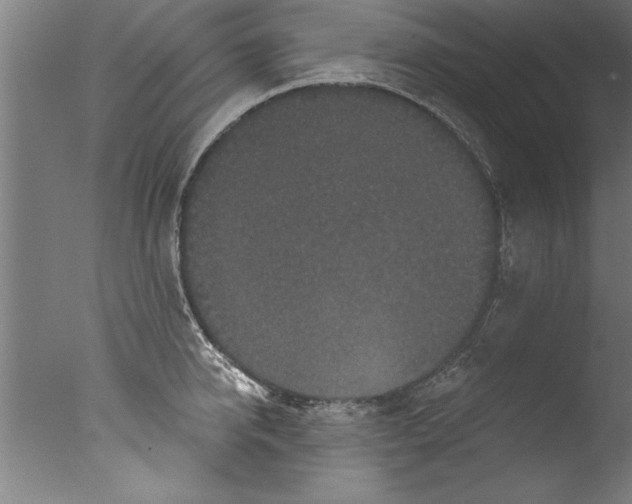 X0000076100950200610202132