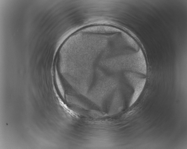 X0000076100951200610202132