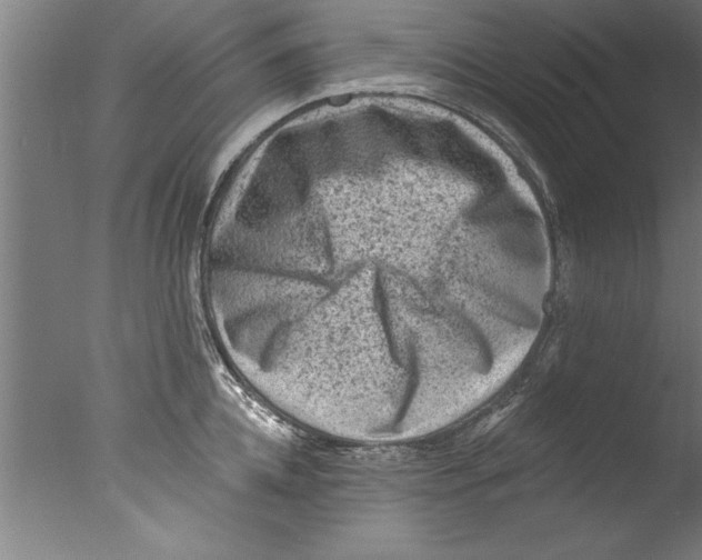 X0000076100952200610202132