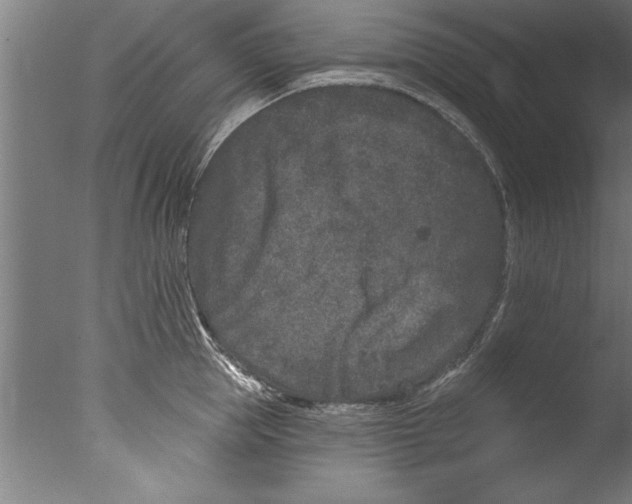 X0000076100953200610202132