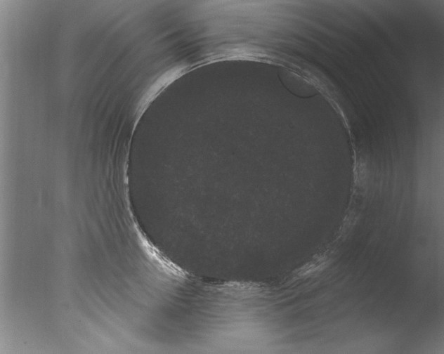 X0000076100954200610202132