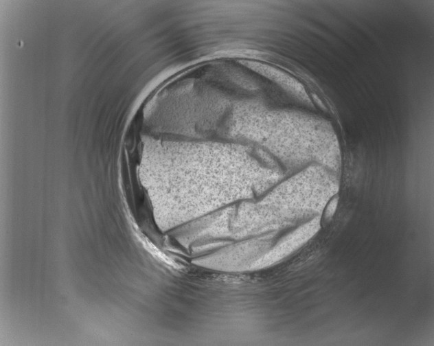 X0000076100955200610202132