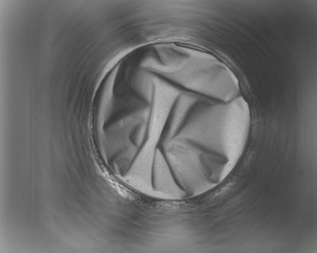 X0000076100956200610202132