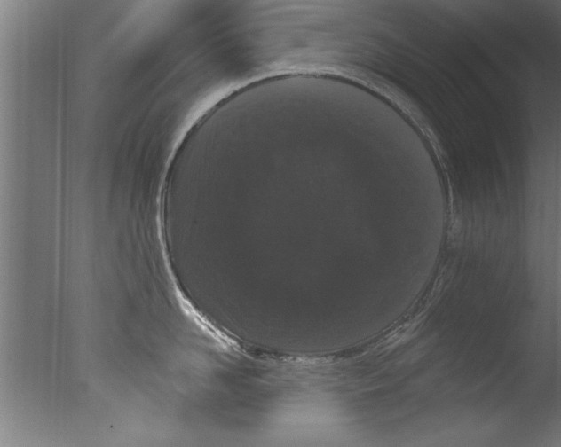 X0000076100958200610202132