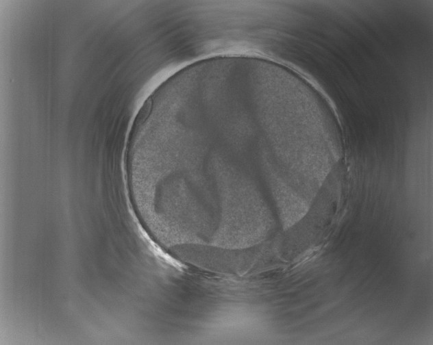 X0000076100959200610202132