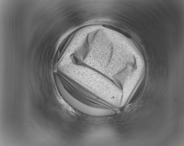 X0000076100960200610202132