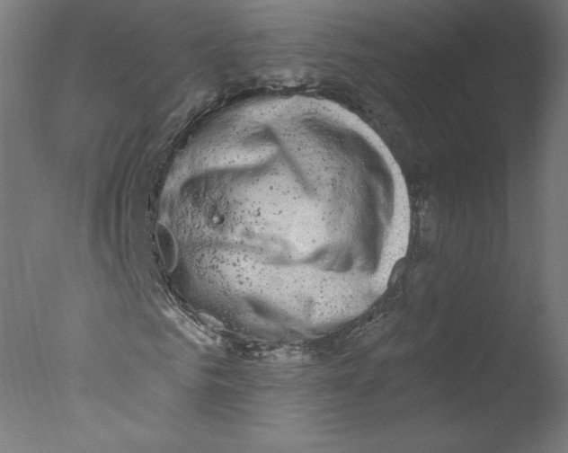 X0000076100961200610202131