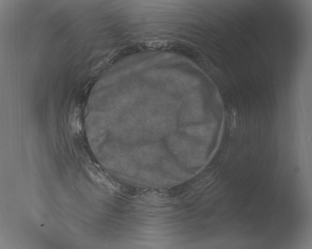 X0000076100962200610202131