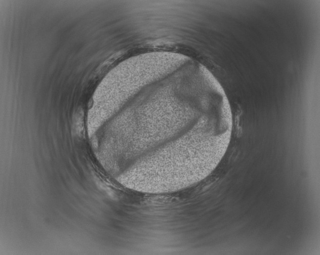 X0000076100963200610202131