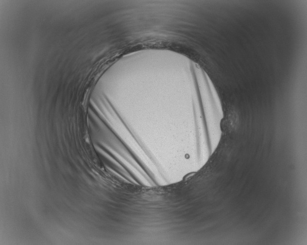 X0000076100964200610202131