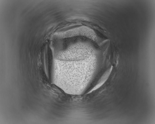 X0000076100965200610202131