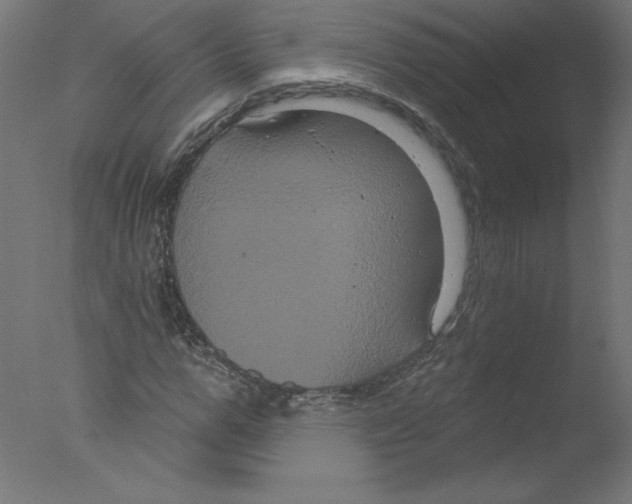 X0000076100967200610202131